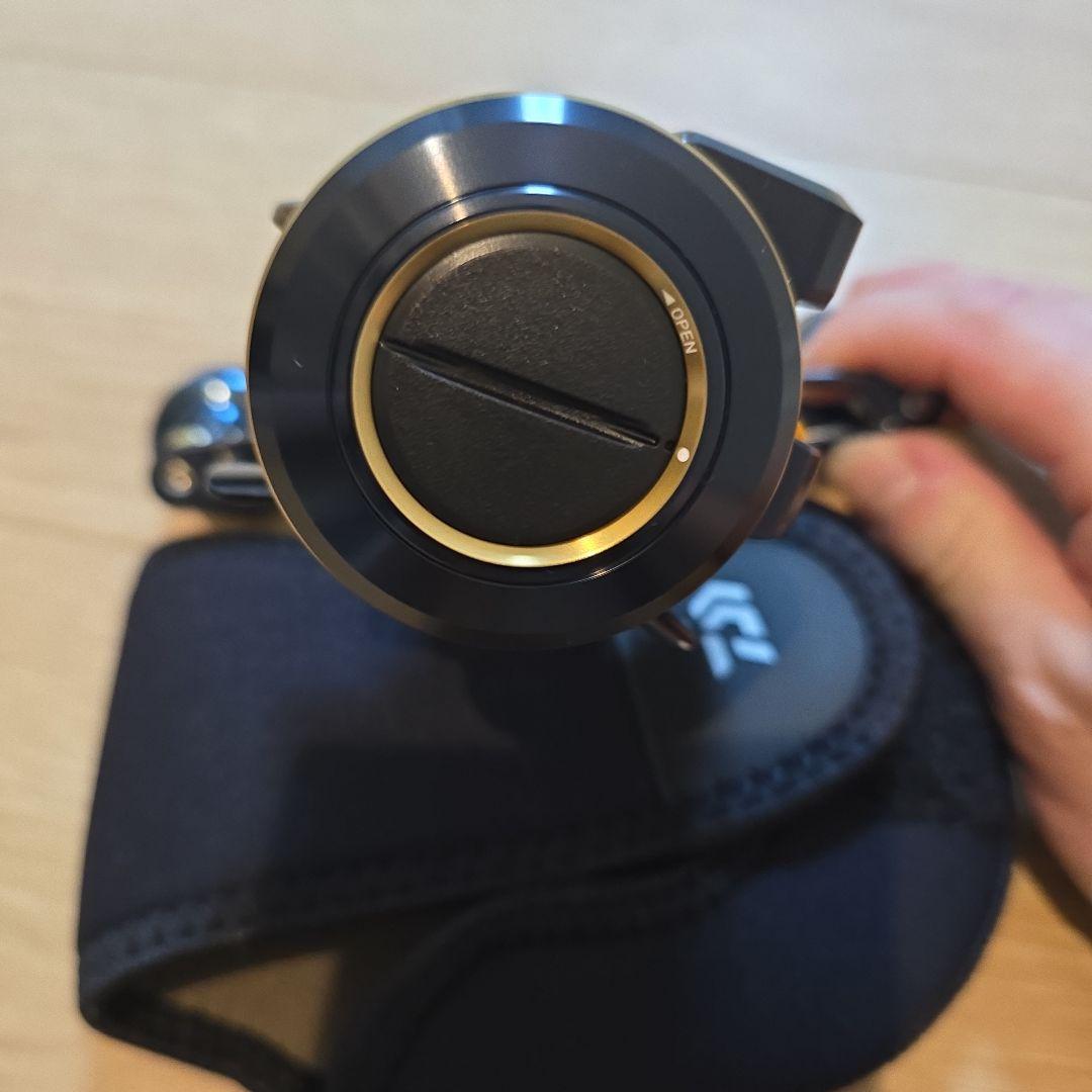 ダイワ Daiwa SALTIGA IC 100PL-DH