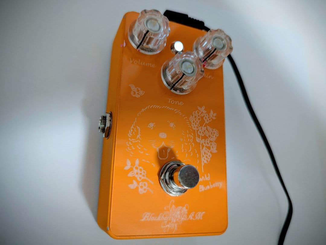 ギター Blackberry JAM Wild Blueberry MariGold