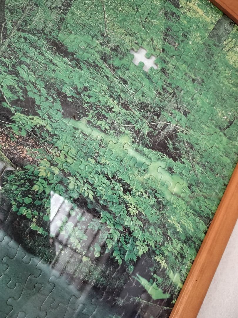 自然風景 ジグソーパズル 木製フレーム 完成 完成品 1000ピース 森林