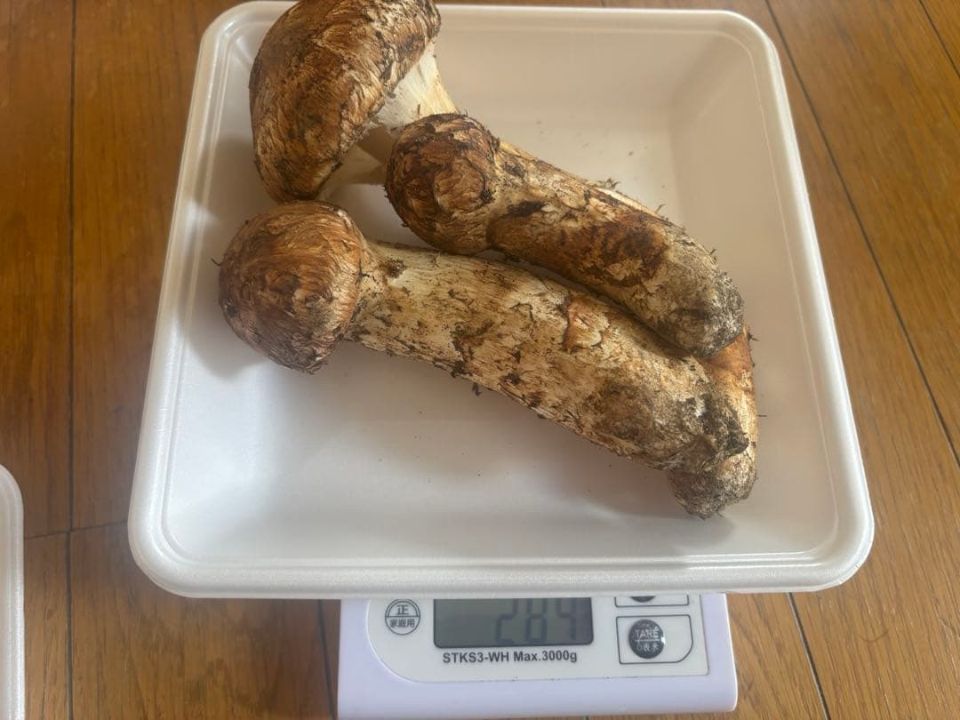 青森県産　松茸　マツタケ　284g
