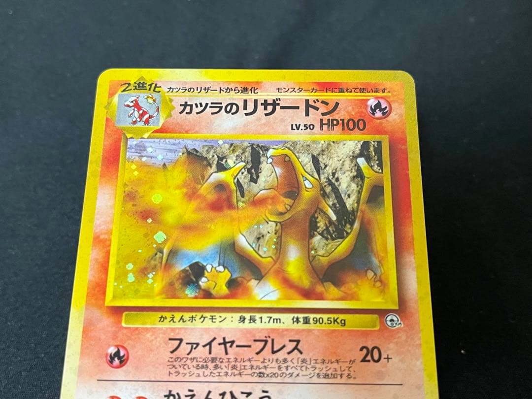 中*迎様 カツラのリザードン