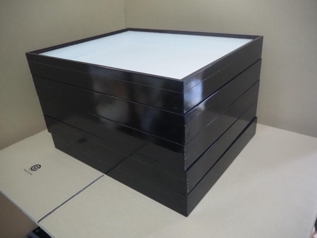 標本箱　ドイツ箱　大型 5個セット(中古、藤本標本用品製)