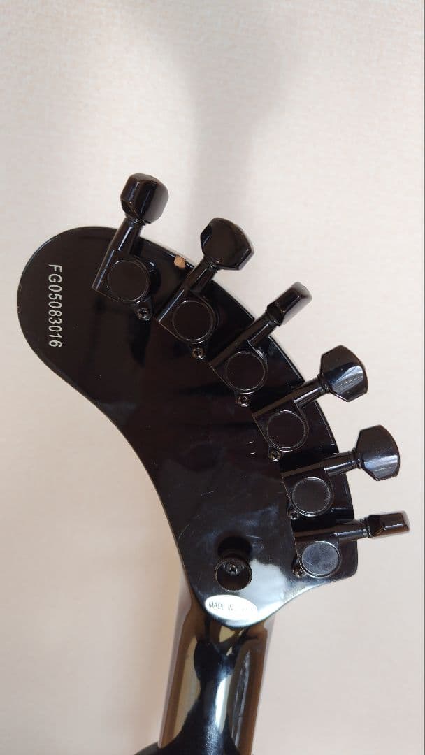 FERNANDES DIGI-ZO HYPER スカル