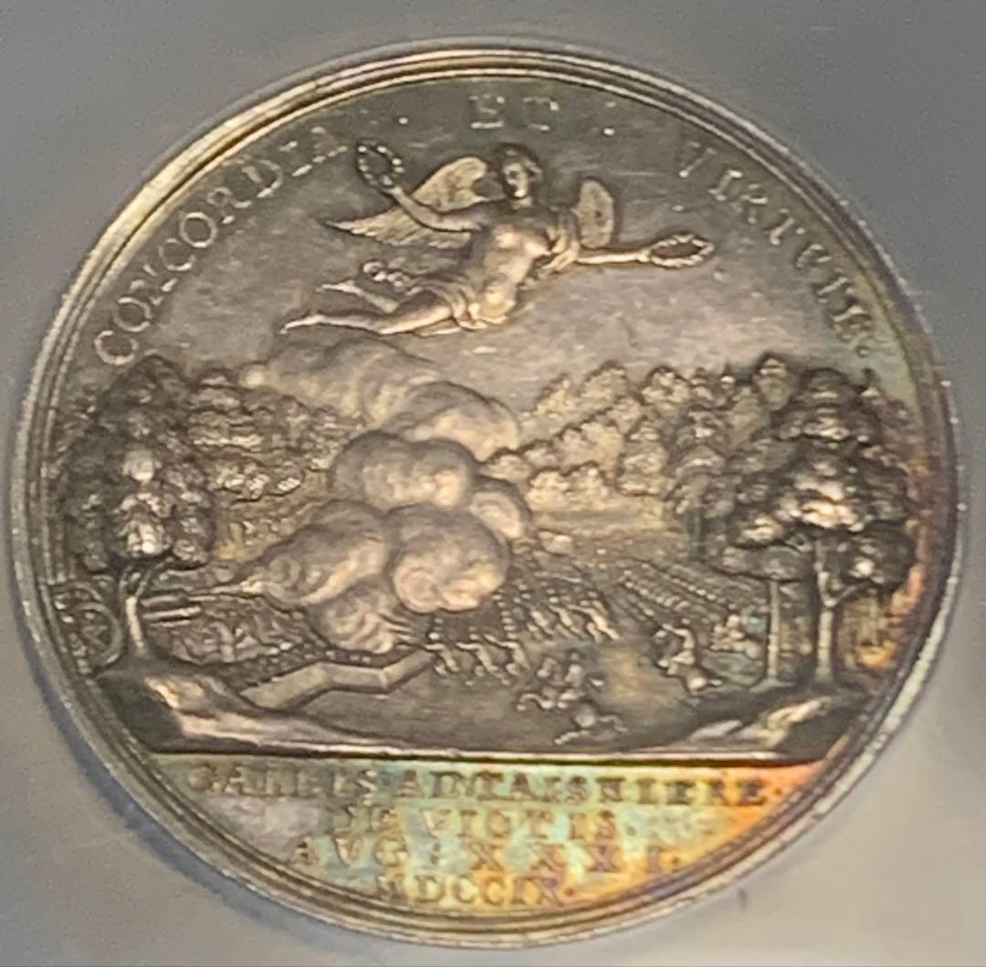 値下しました❗️アン女王　マルプラケの戦い　トーン！　シルバーメダル特大スラブ