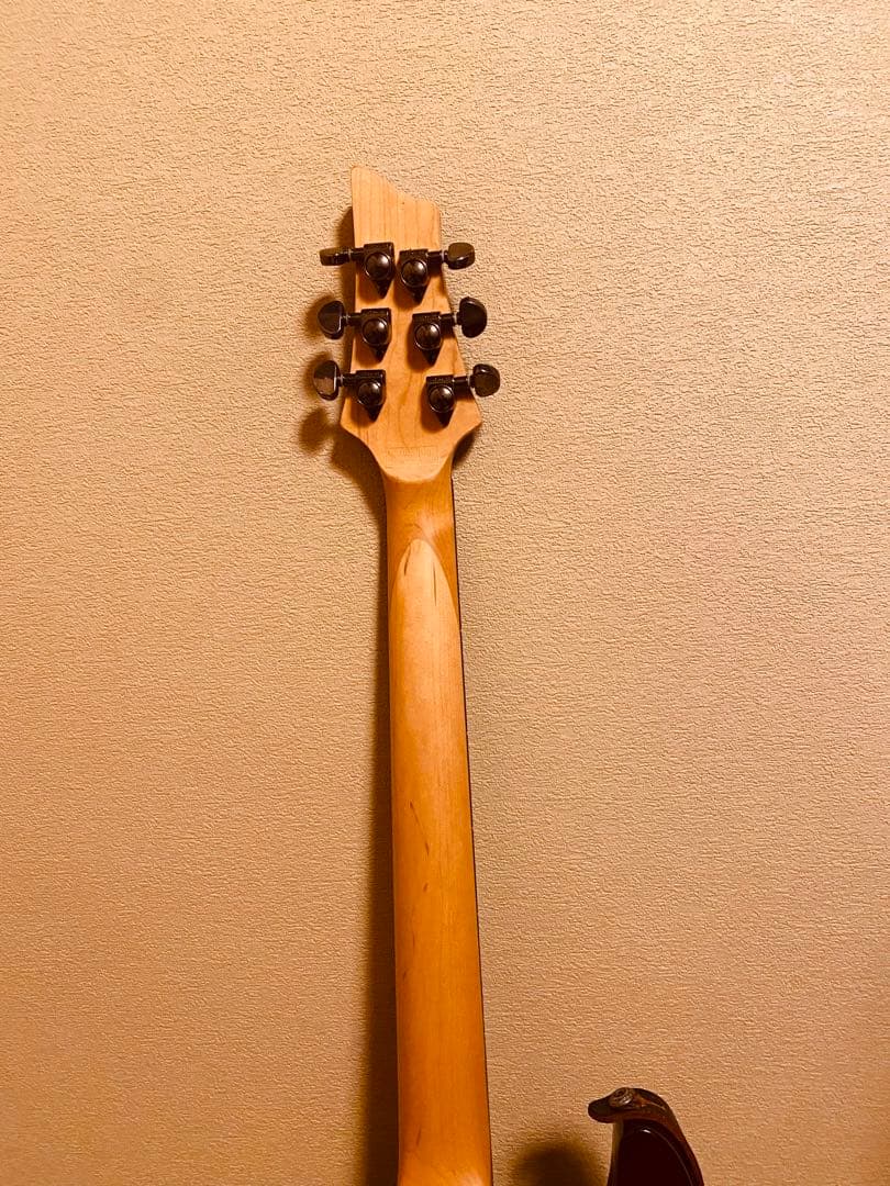 ギター Schecter damien elite