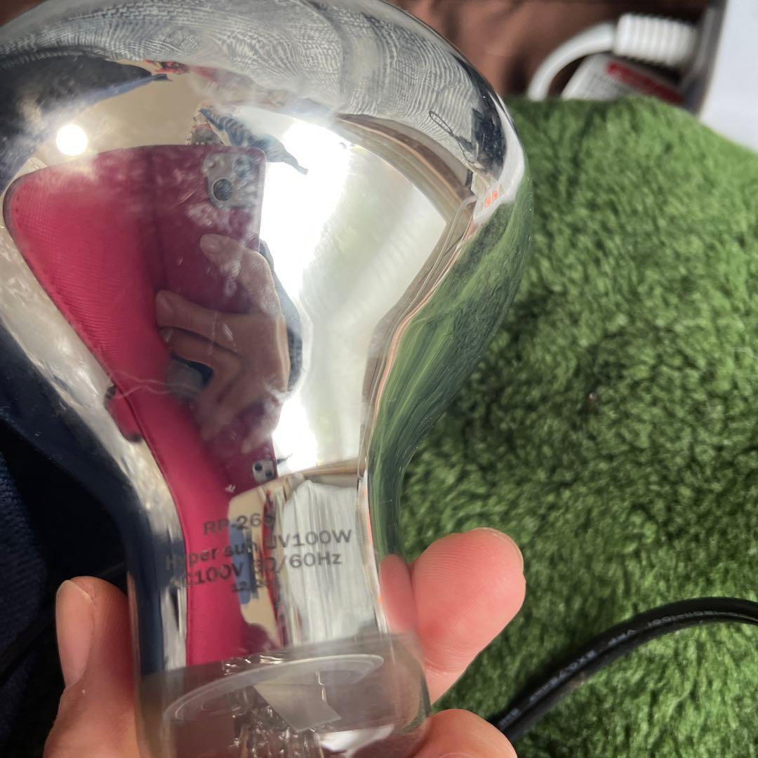 爬虫類用　保温ライト