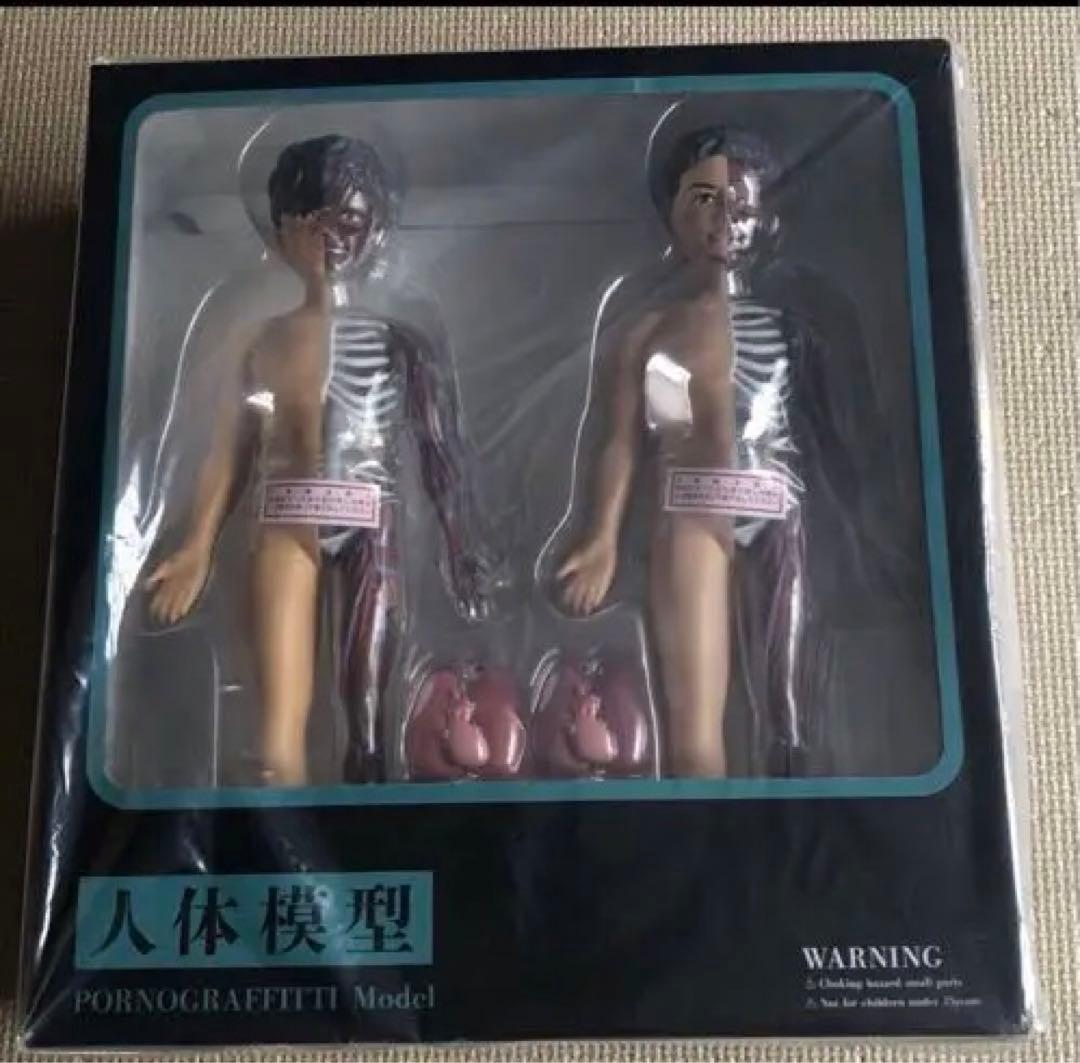 ポルノグラフィティ 人体模型