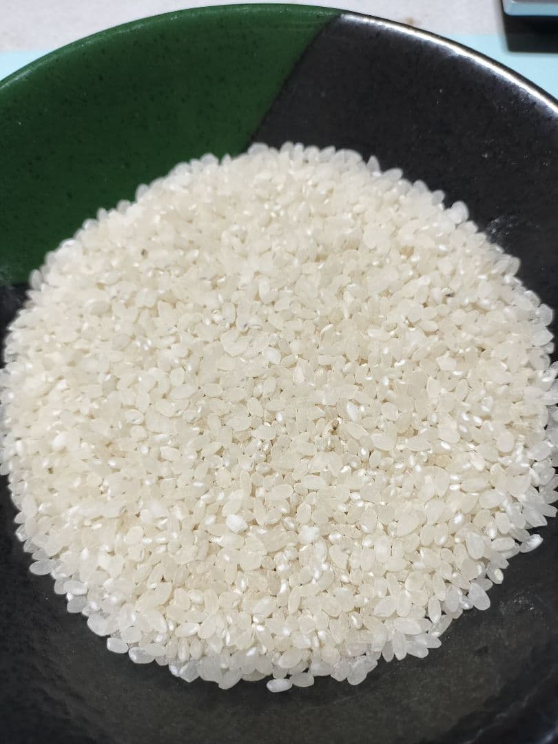 令和7年産 キヌヒカリ玄米20kg 精米済