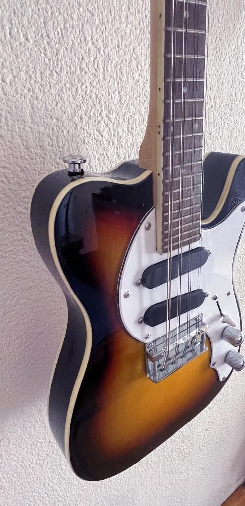 【カメ】エレキマンドリン ローズウッド指板（ソリッドボディ）