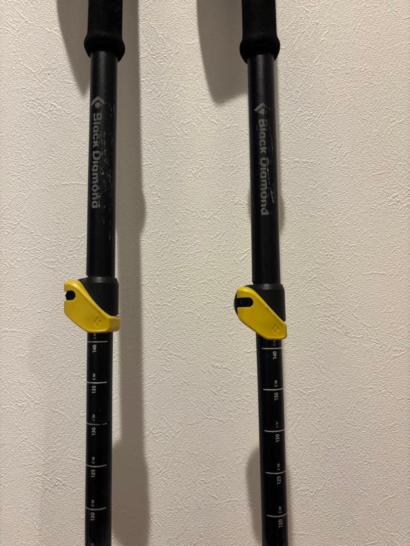  調整可能スキー用ストック　100〜140cm