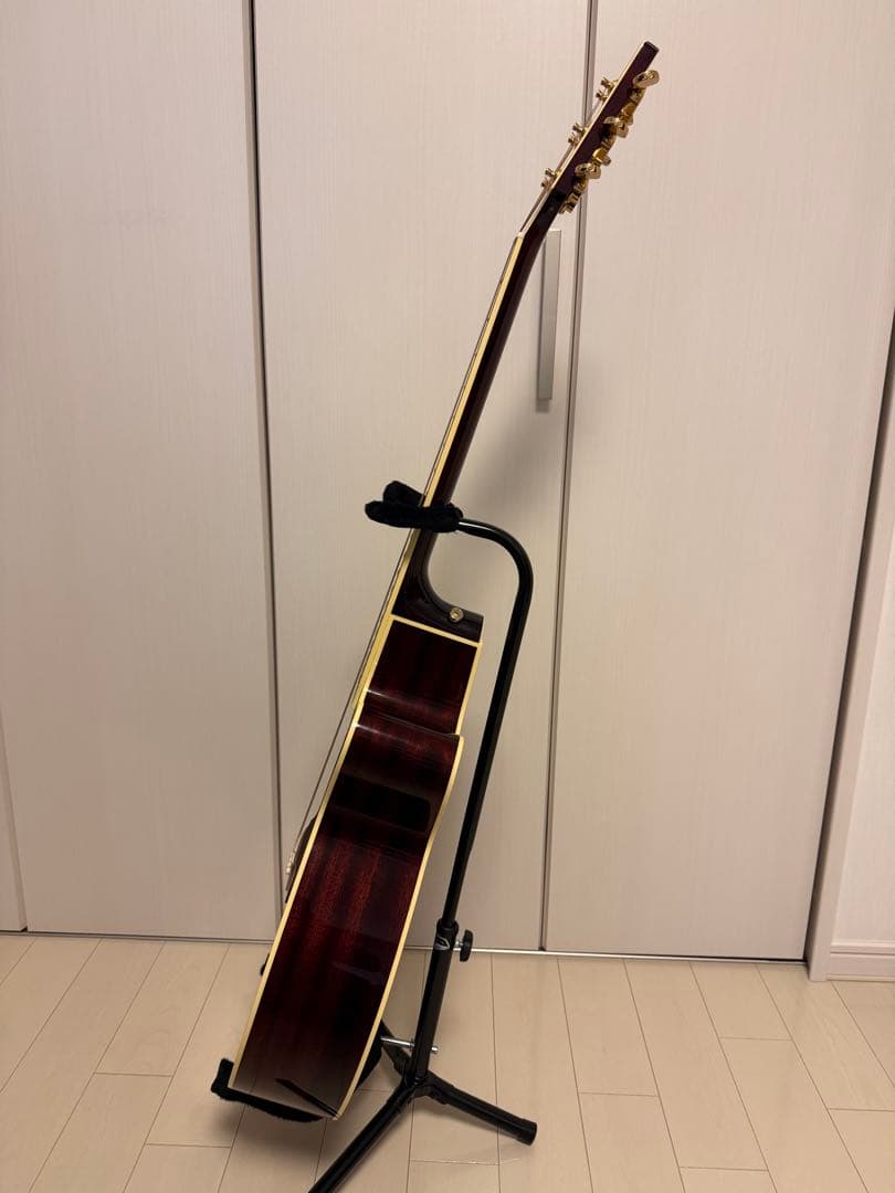 Takamine タカミネ DMP551C WR エレアコ ギターケース付き