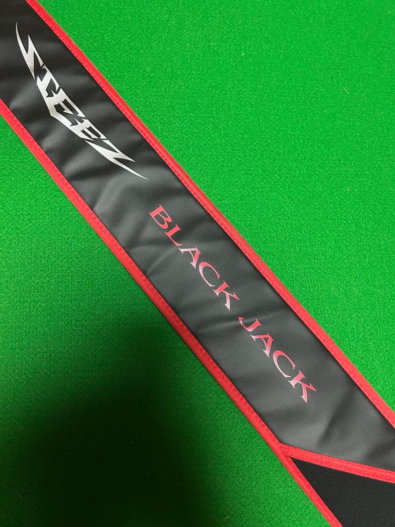 H.Takenori_604　スティーズ　ブラックジャック　Ｃ６８Ｍ＋