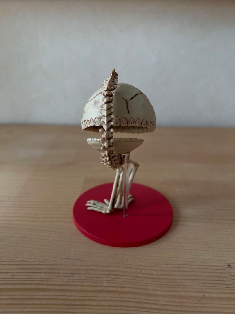 KAIJUZUKAN フィギュア KENSHI YONEZU 骨門番