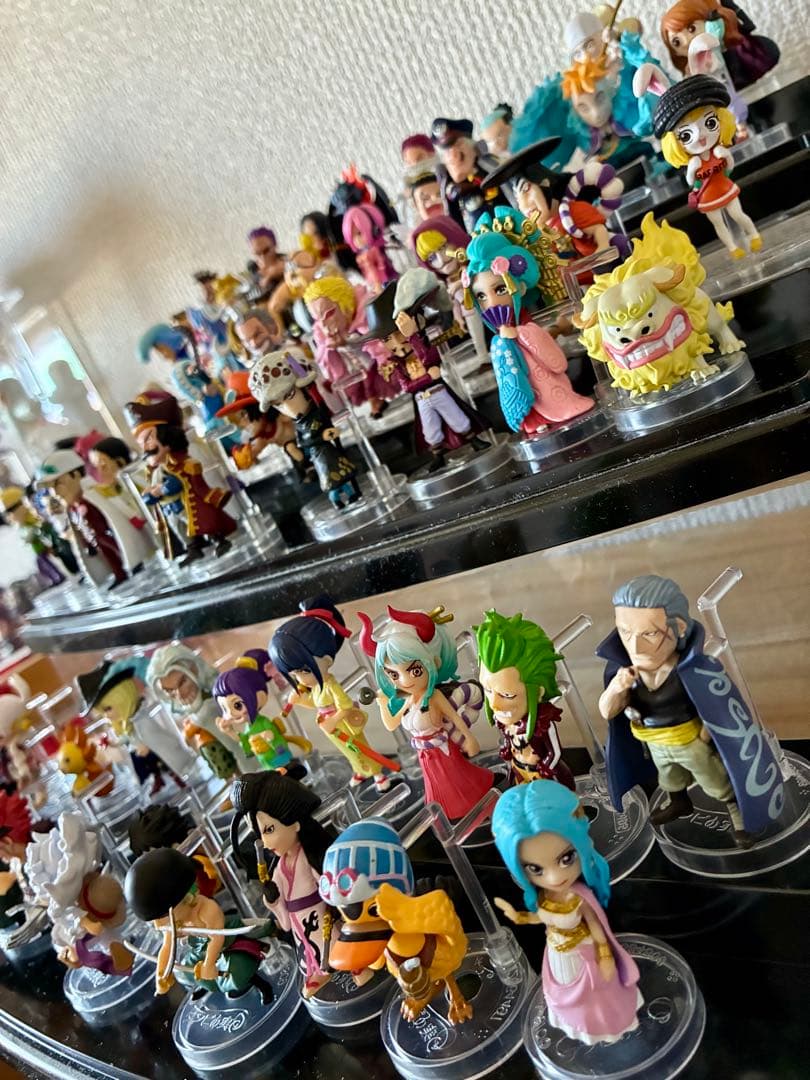 ワンピの実60個セット