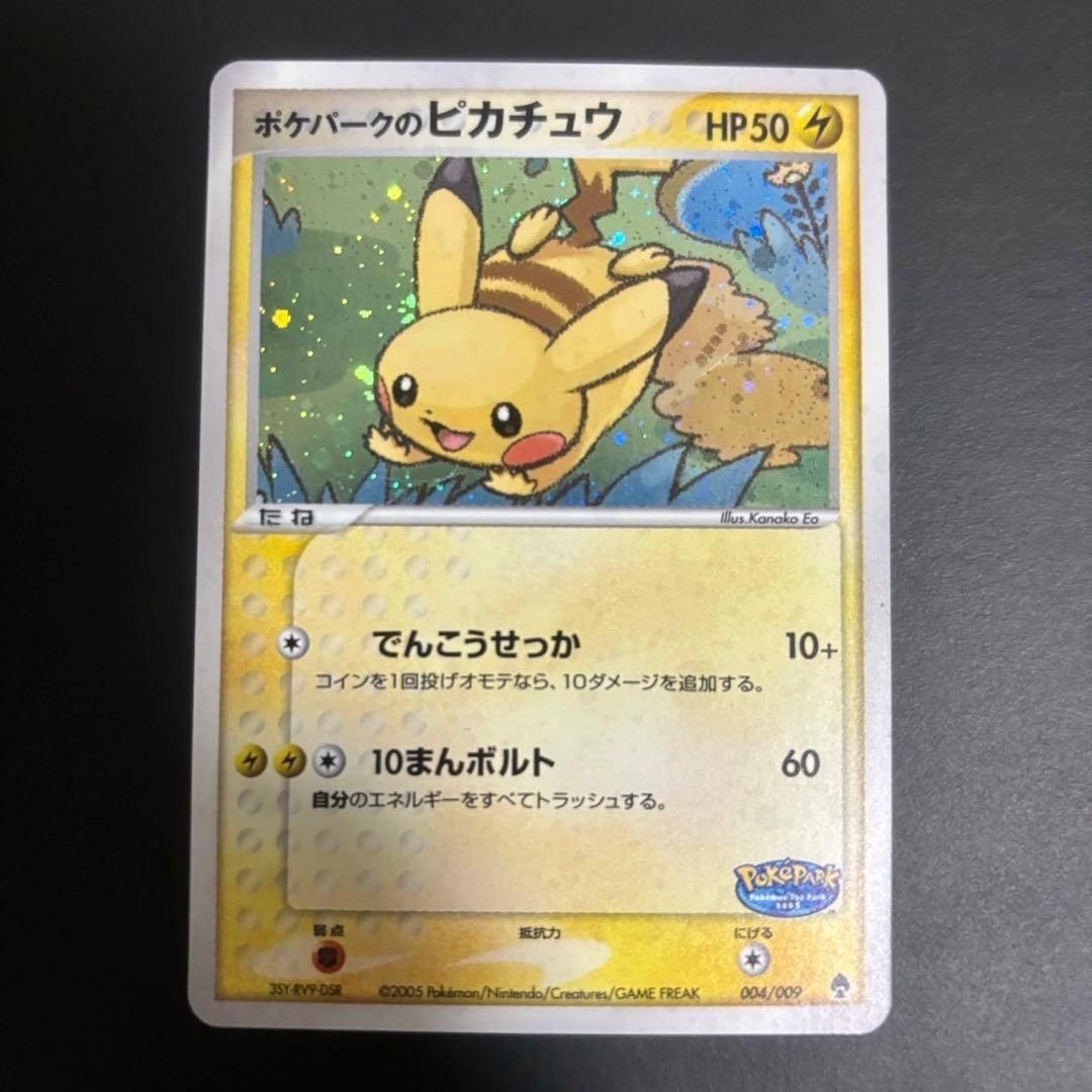 ワ*)様 ポケパークのピカチュウ