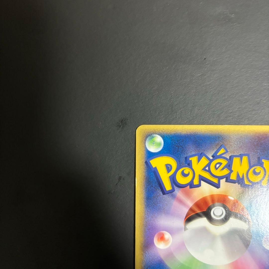 ワ*)様 ポケパークのピカチュウ