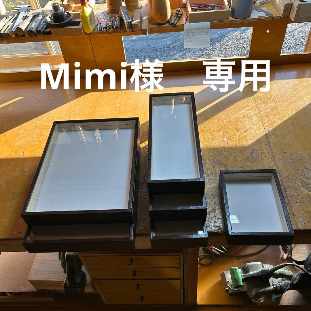 中型標本箱　6箱