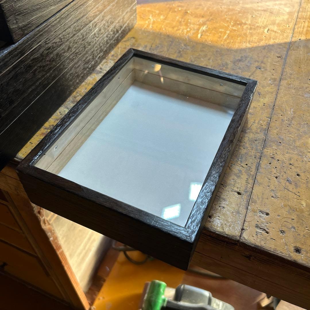 中型標本箱　6箱