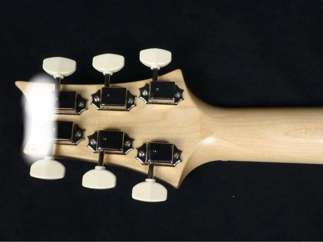 ギター Paul Reed Smith NF 53 BlackDoghair