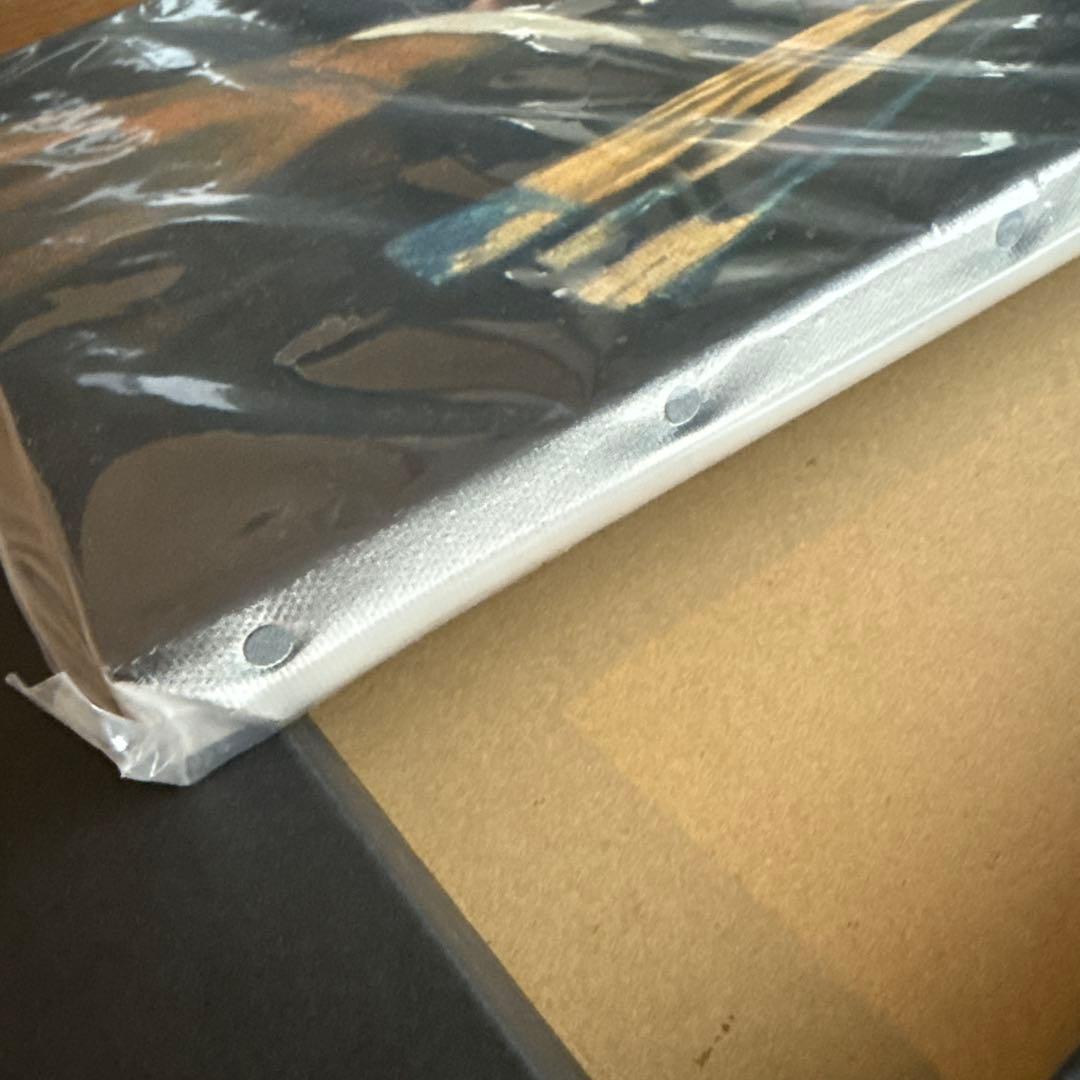 フェルメール真珠の首飾りの少女アートパネル