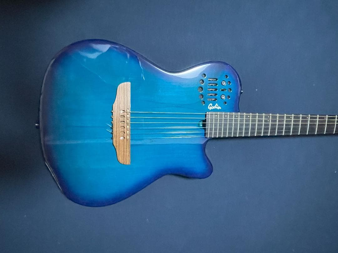 【最終値下げ】Godin Multiac Nylon SA ゴダン エレガット