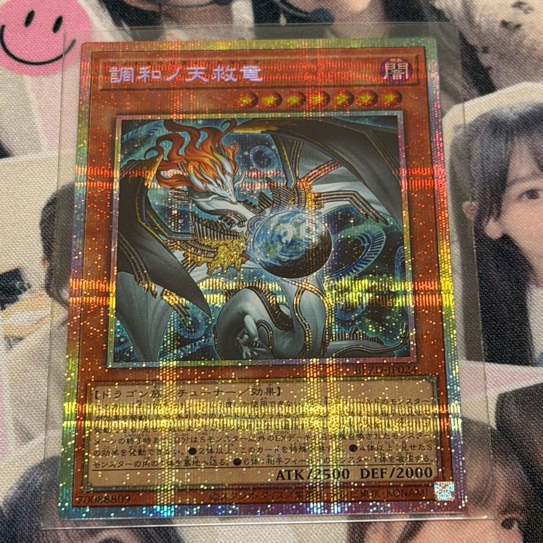 調和の天救竜 プリシク