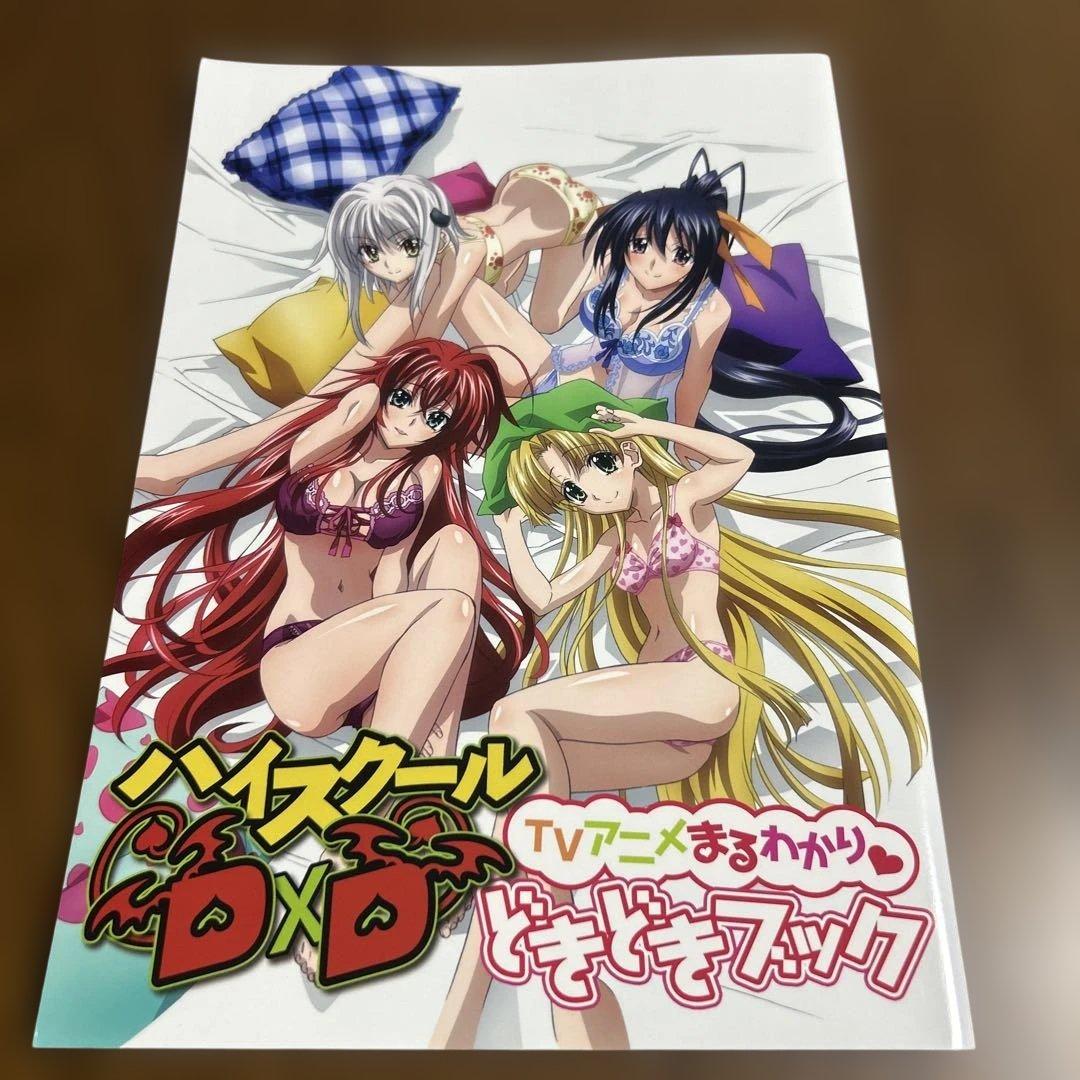 ハイスクールD×D TVアニメまるわかり　どきどきブック【非売品】