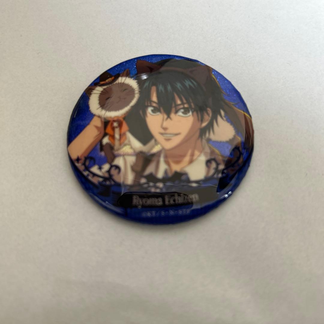 【値下げ可能〇】新テニスの王子様　RisingBeat　越前リョーマ 希少　レア