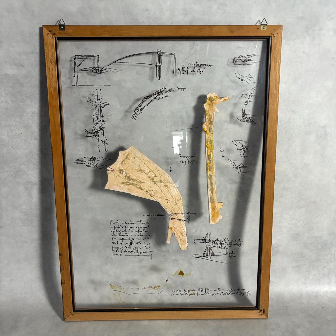 レオナルド・ダ・ヴィンチ 飛行機械模型 額装アート