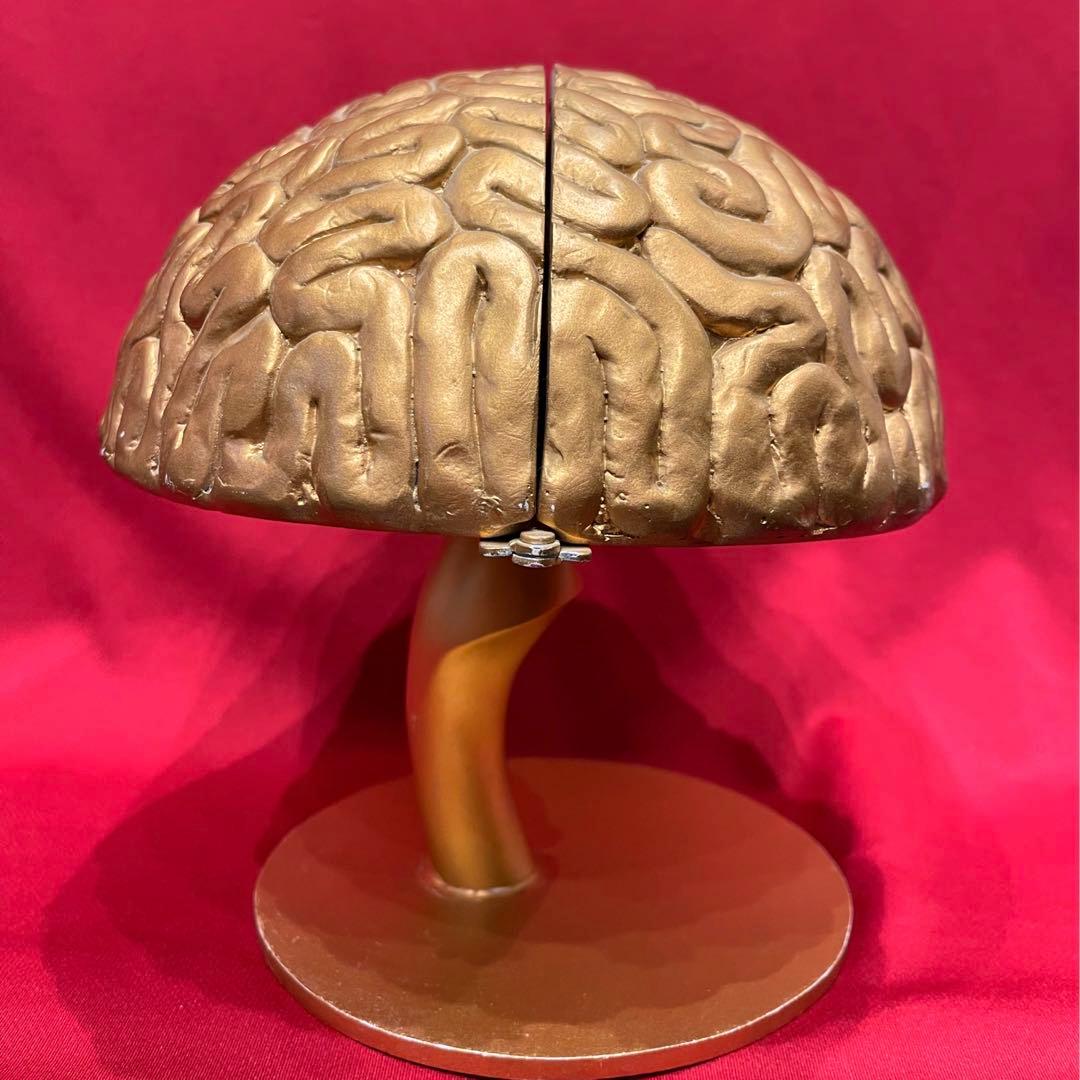 【本物】トリビアの泉 金の脳 へぇ タモリ 八嶋智人 高橋克実