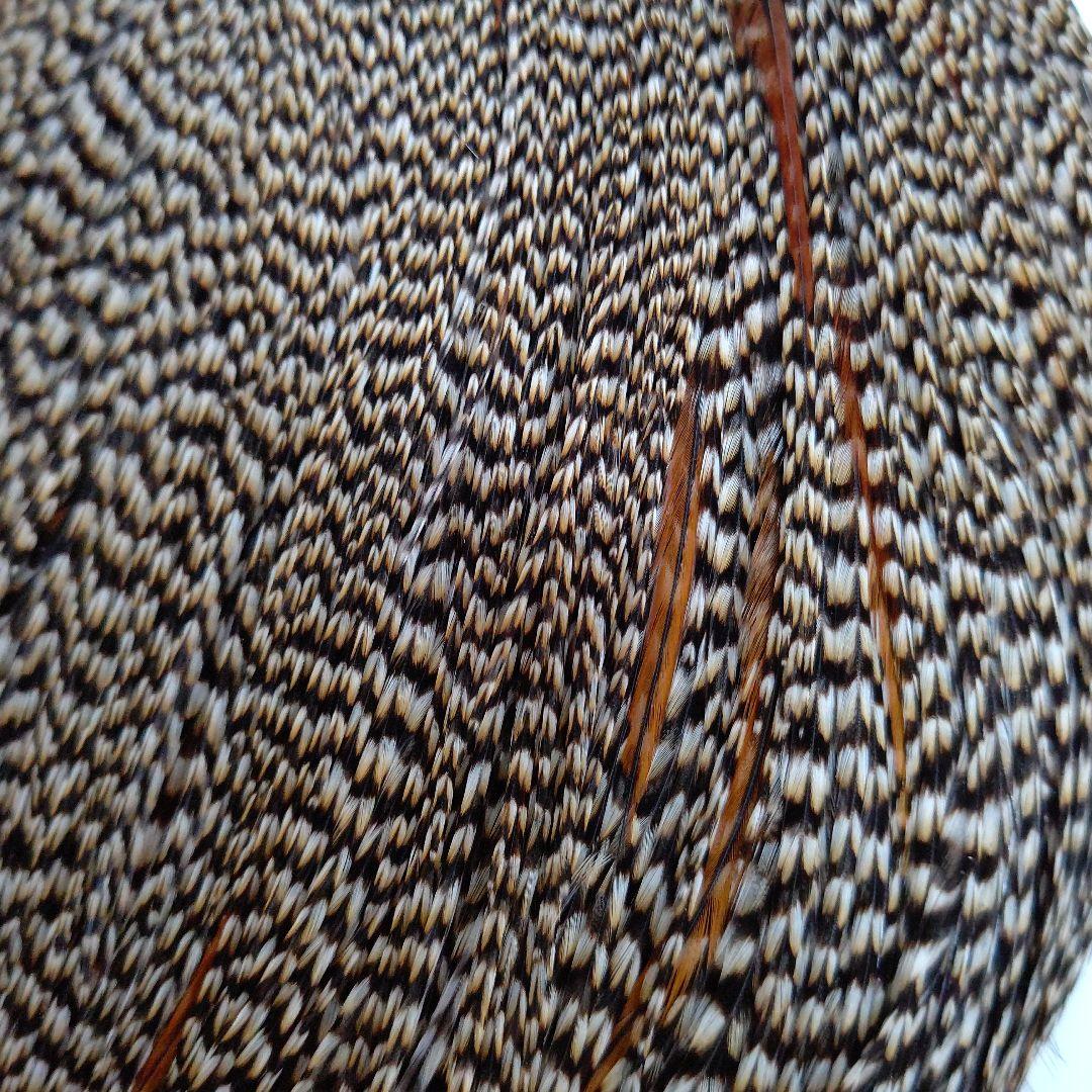 Whitng ホワティングハックルProGred Cape Cree