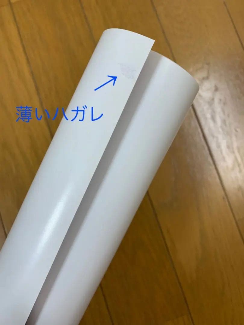 コメント必須【未使用品】相武紗季ポスター ★プレイボーイ等身大ポスター