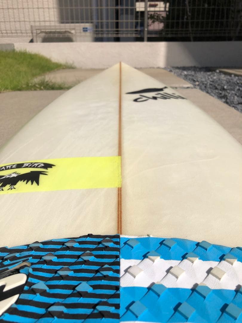 Chilli RAREBIRD   チリ　レアバード