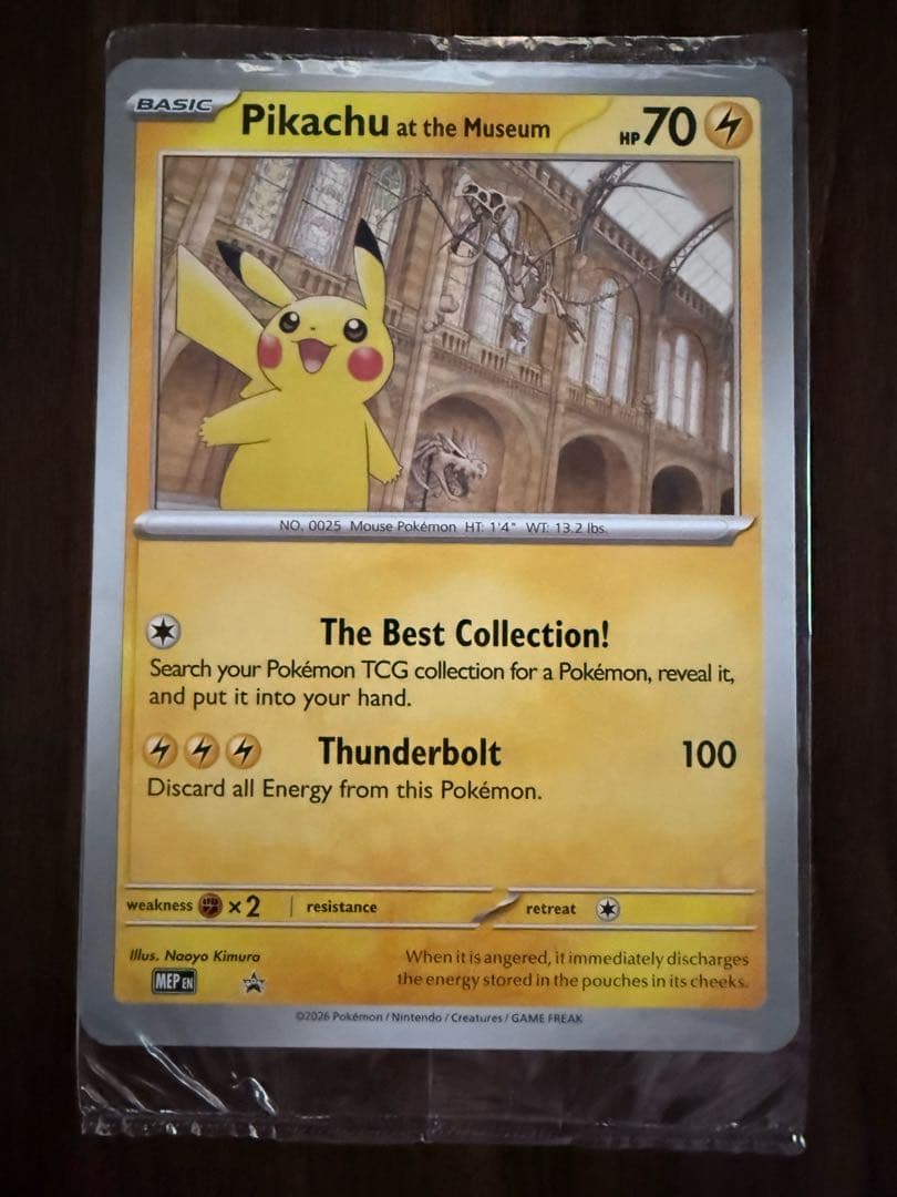 Pikachu at the Museum ピカチュウ ロンドン自然史博物館