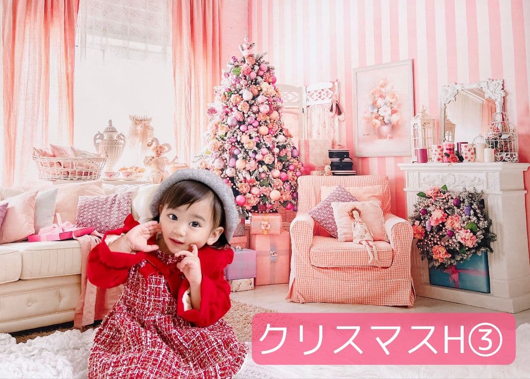 背景布【秋XE】サンプル80×120　ペット撮影用ブース　十五夜　お月見　宇宙