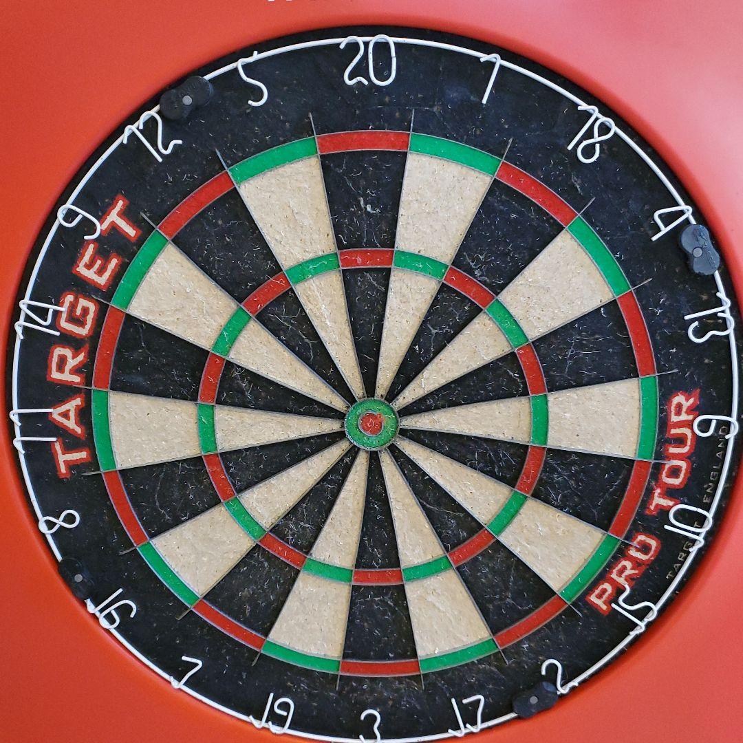 ★希少品・箱付き★ ダーツボード PRO TOUR DARTBOARD