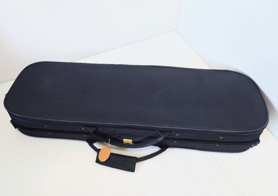 cecilio サイレント エレキ バイオリン HVPV-30