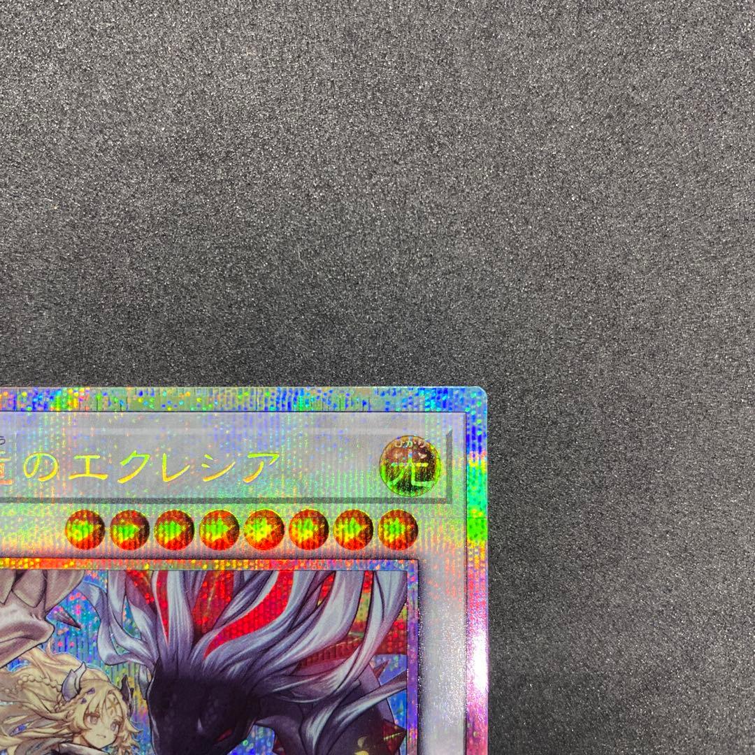 黒き竜のエクレシア プリズマ