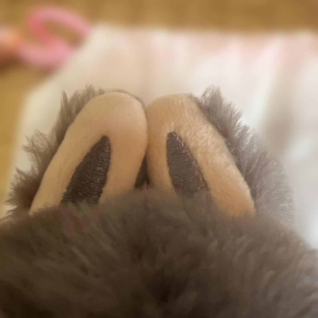 ❁*!様 【正規品】Labubu Big into Energy ラブブ シーク