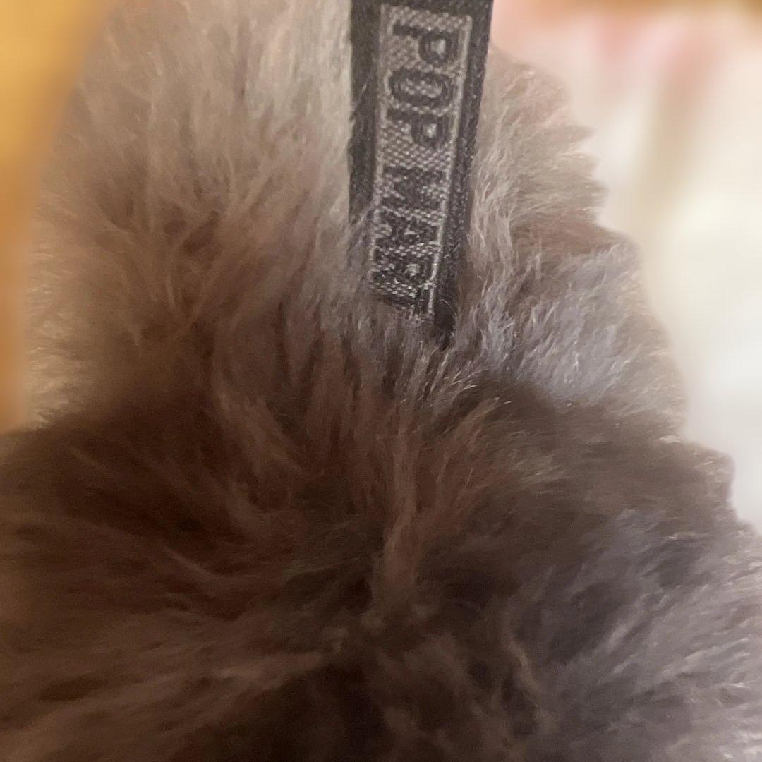 ❁*!様 【正規品】Labubu Big into Energy ラブブ シーク