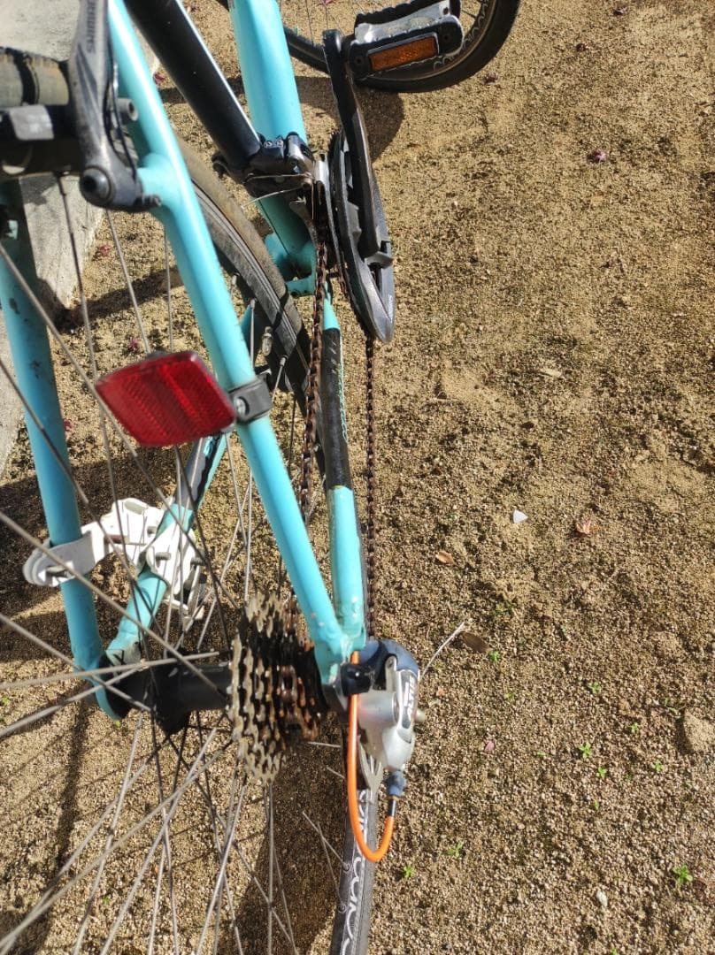 ベイトオンリー　Bianchi ビアンキ Camaleonte Cross