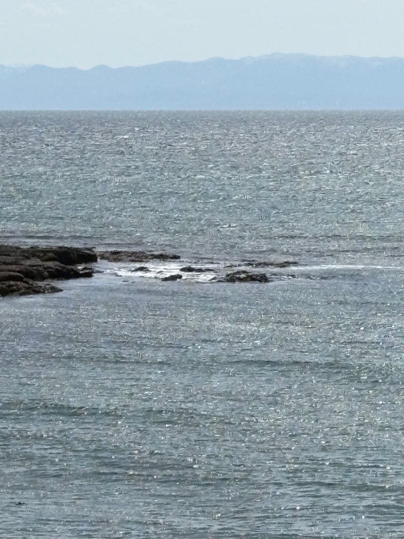 くま子。北海道産！やわらか早煮昆布70cm 10kg 400g×25袋