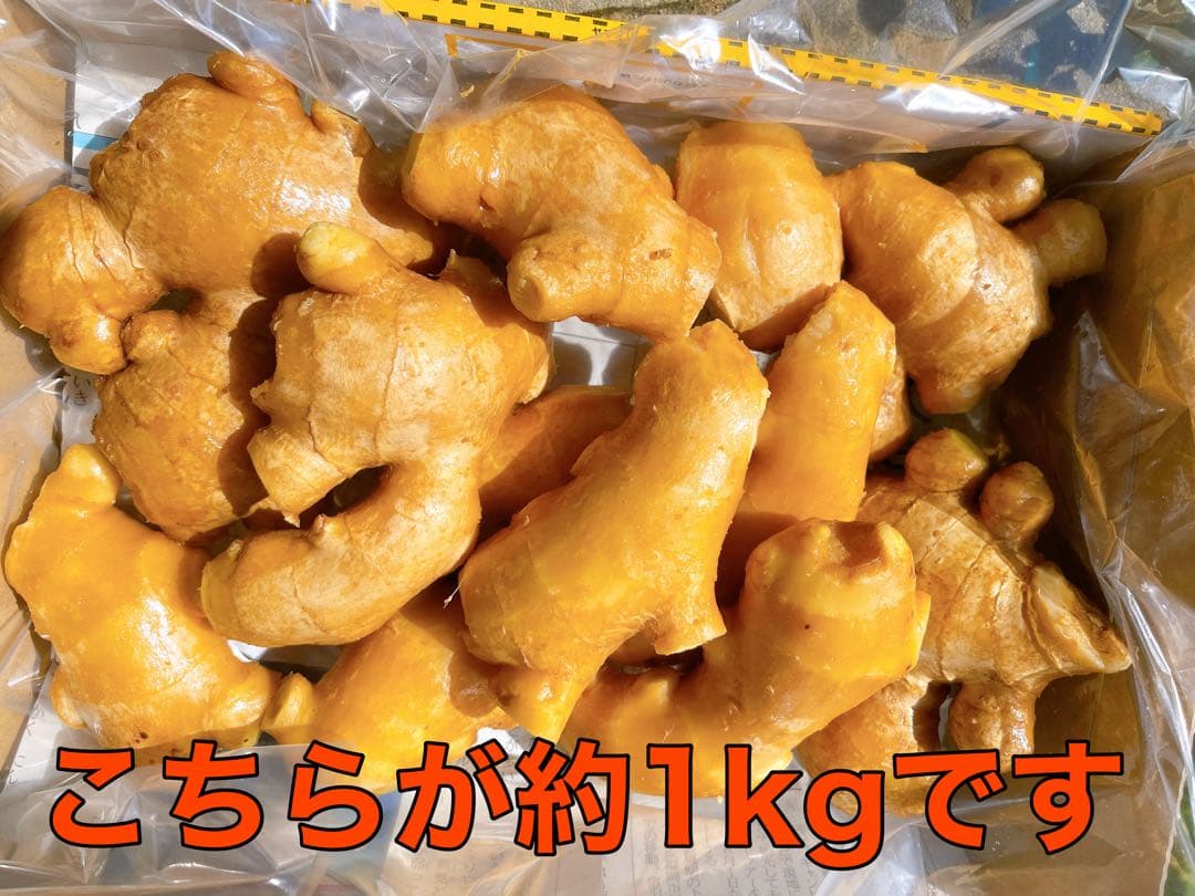 専用　親生姜25kg