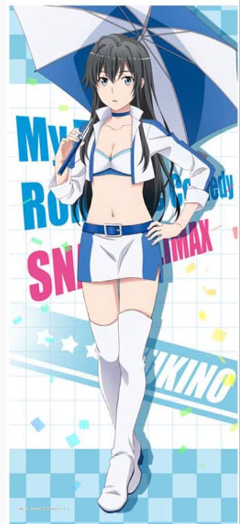 やはり俺の青春ラブコメはまちがっている 雪ノ下雪乃 ビックタペストリー