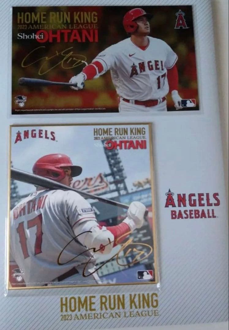 (未開封)3冊セット　2023ホームラン王獲得記念 大谷翔平 2023年記念