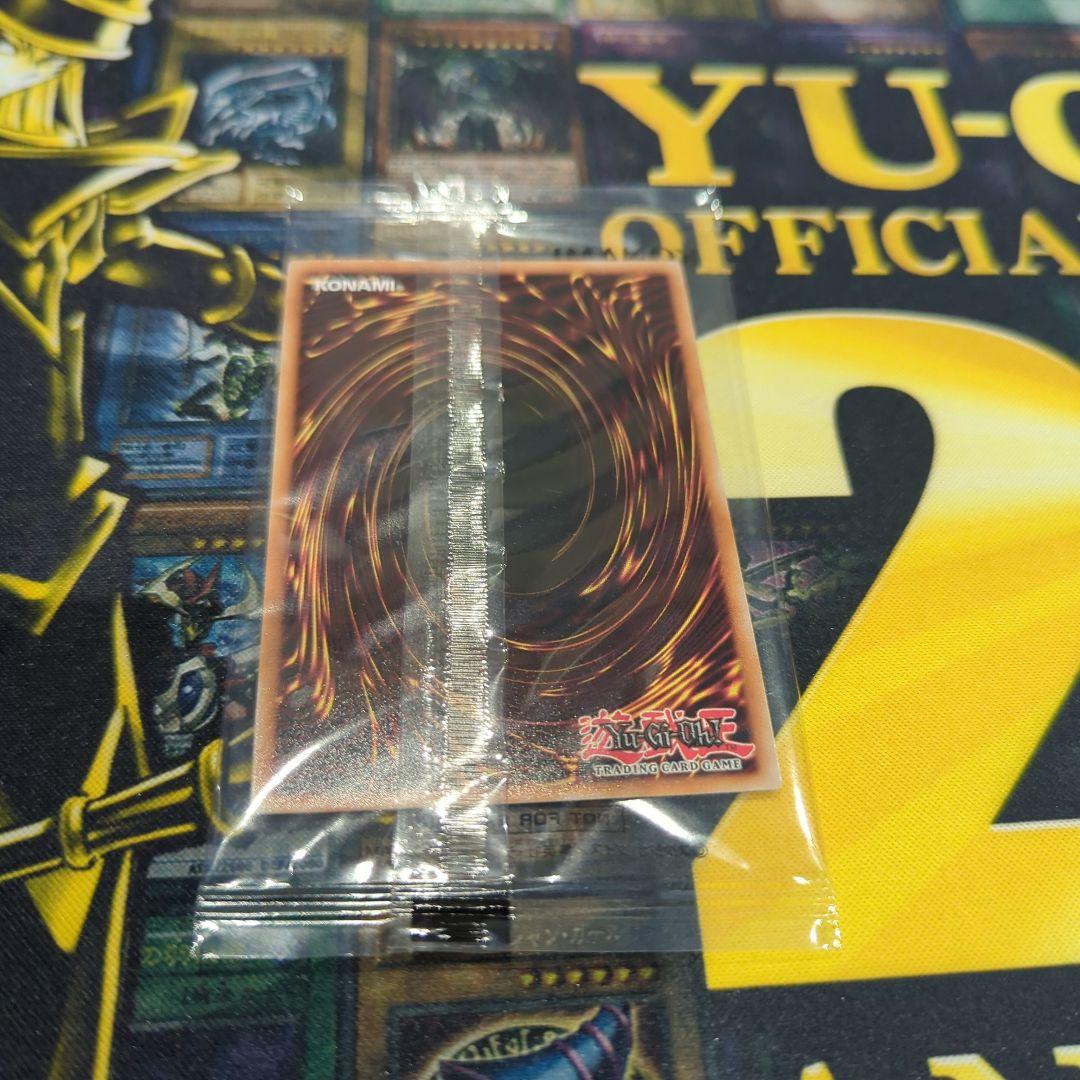 日本選手権　2期プロモ