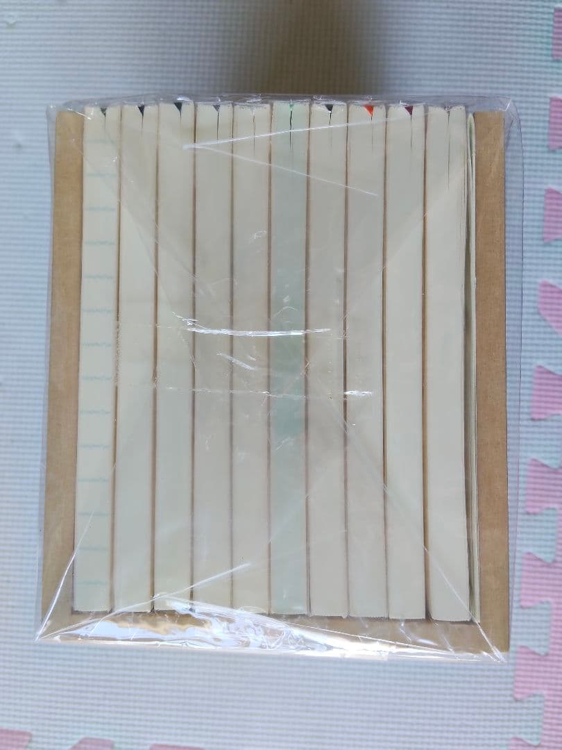 限定品【MIDORI/ミドリ】MDノート10周年 10th 10種入 ケース付