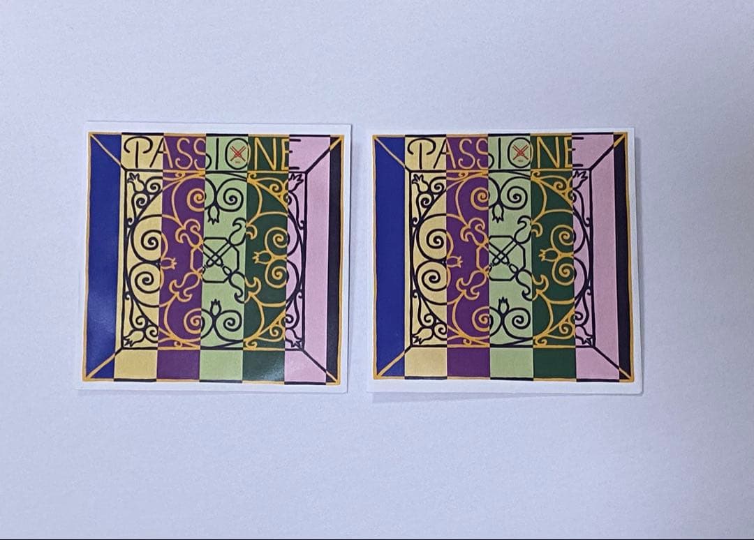 PASSIONE バイオリン弦 D線、G線セット