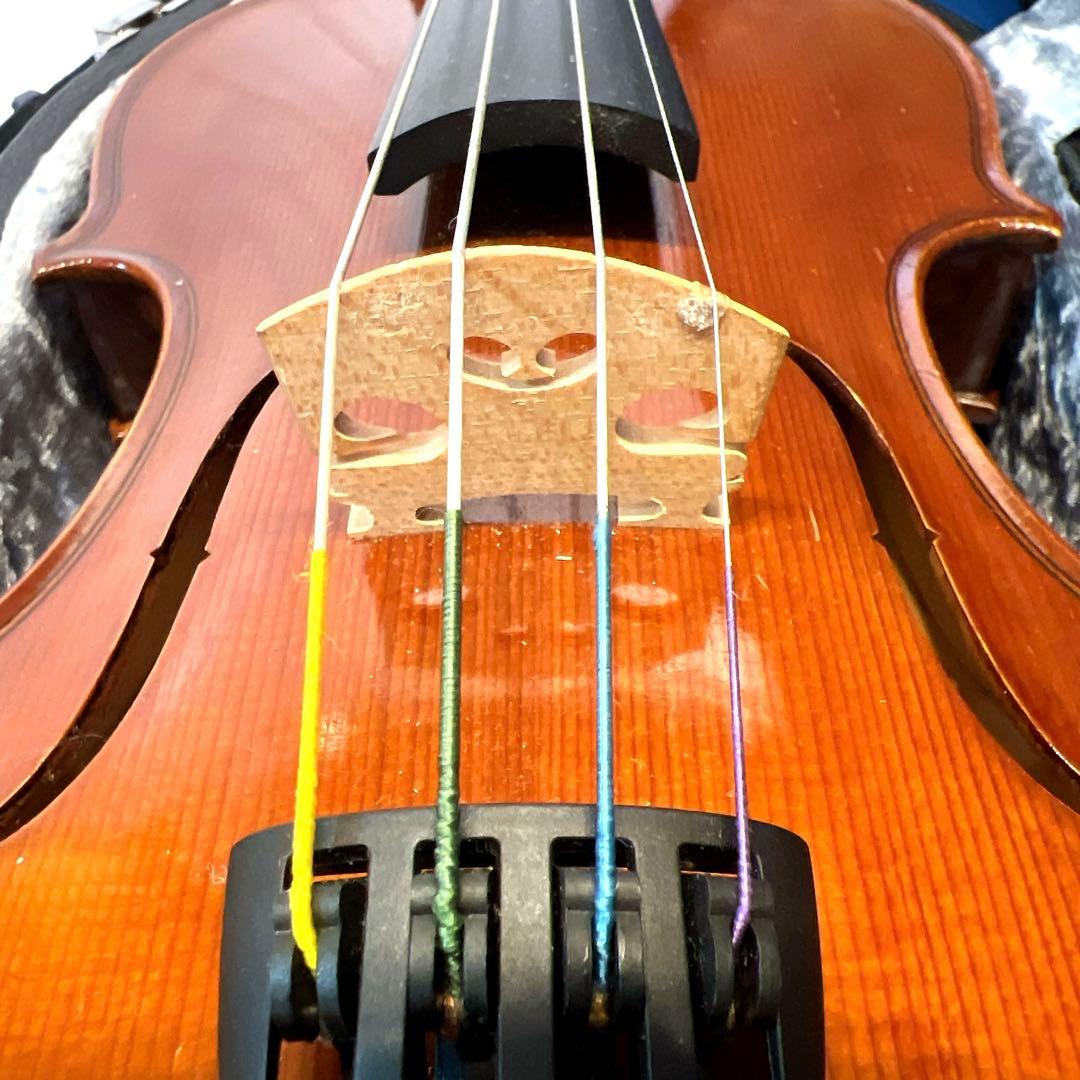 【希少美品】Pygmalius ピグマリウス　Bambino 1/2 バンビーノ