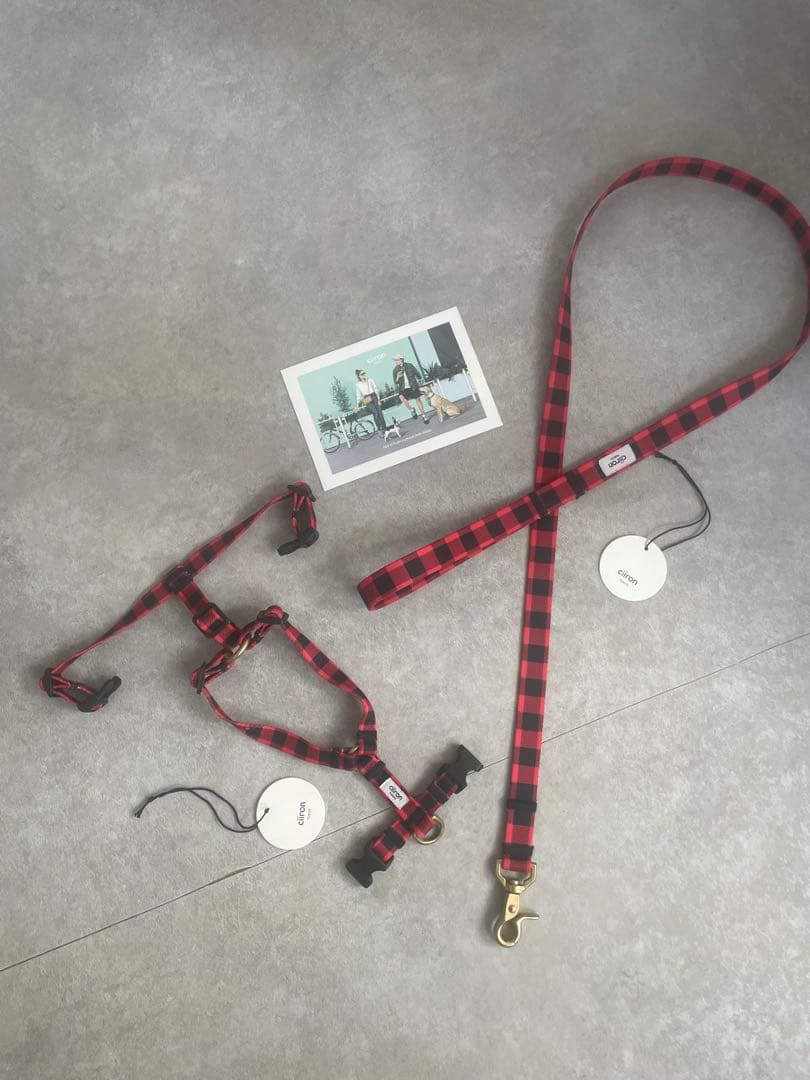 ciiron ハーネスとリードセット Michael